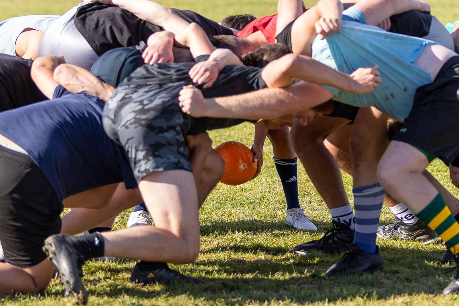 Pumpkin Rugby scrum at New Saint Andrews College in Moscow, ID.